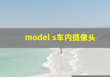 model s车内摄像头